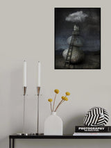 Up there on the pebbles Poster och Canvastavla