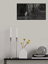 Waiting Poster och Canvastavla