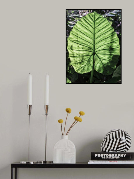 Lig Poster och Canvastavla