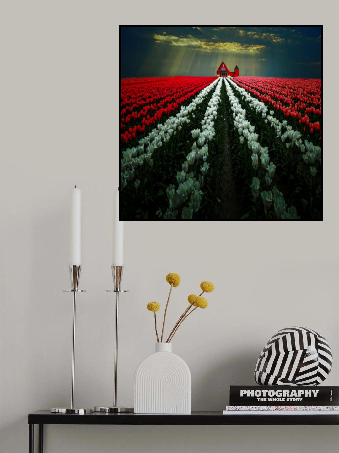 Tulip Garden Poster och Canvastavla