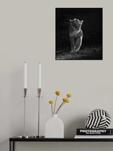 Poster och Canvastavla