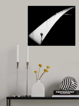 in the rain Poster och Canvastavla
