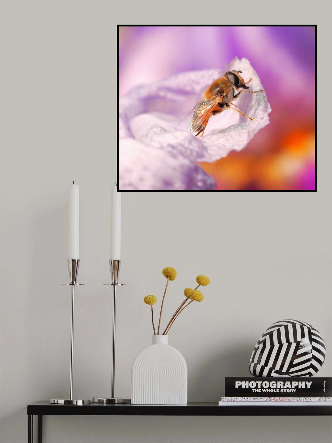 In the delights of colors... Poster och Canvastavla