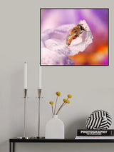 In the delights of colors... Poster och Canvastavla