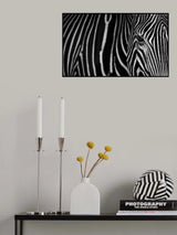 Stripes Poster och Canvastavla