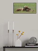 Siblings Poster och Canvastavla