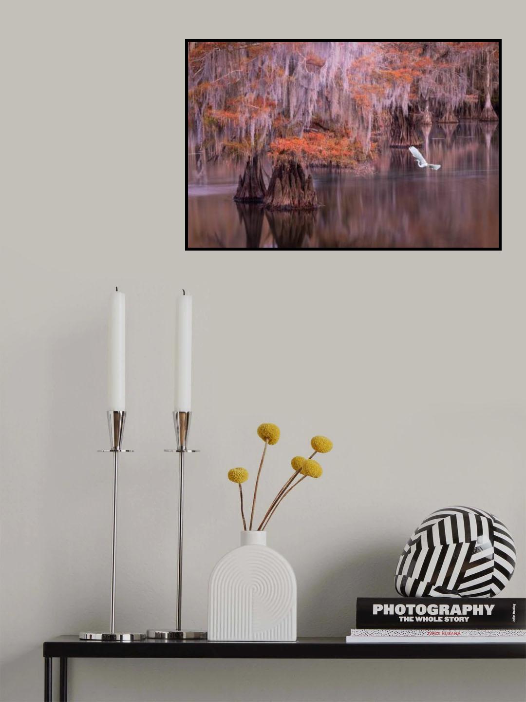 Egret and Cypress Poster och Canvastavla