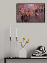 Egret and Cypress Poster och Canvastavla