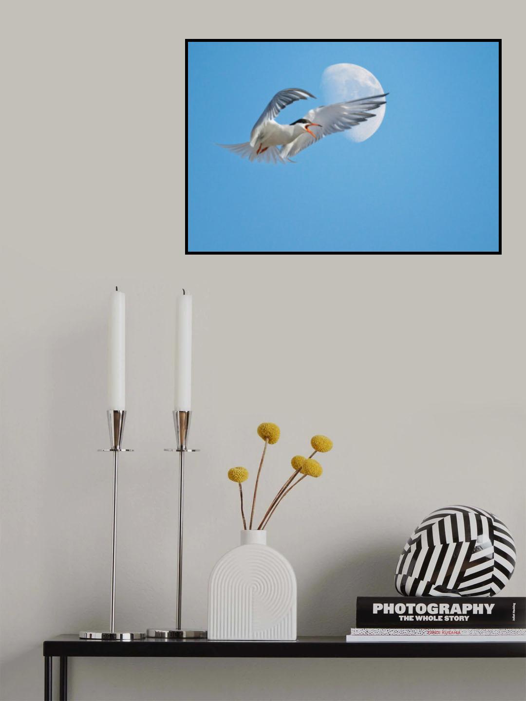 Flying gull against the Moon Poster och Canvastavla