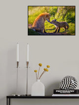 Love Poster och Canvastavla