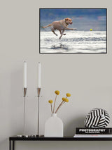 Dance above the water Poster och Canvastavla
