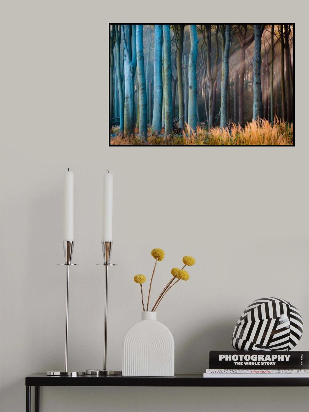 Light in the Woods Poster och Canvastavla