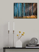 Light in the Woods Poster och Canvastavla