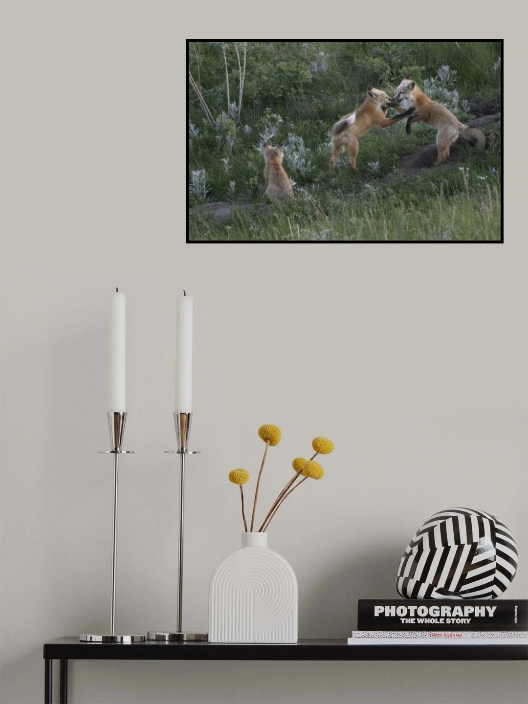 Just having fun Poster och Canvastavla