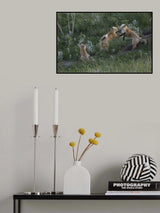 Just having fun Poster och Canvastavla
