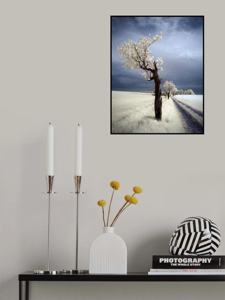 IRenka Poster och Canvastavla