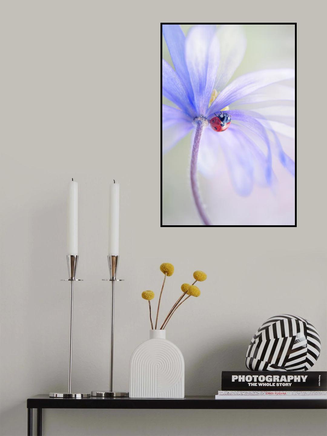 Spring Lady Poster och Canvastavla