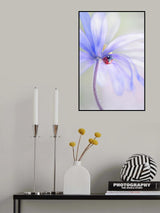 Spring Lady Poster och Canvastavla