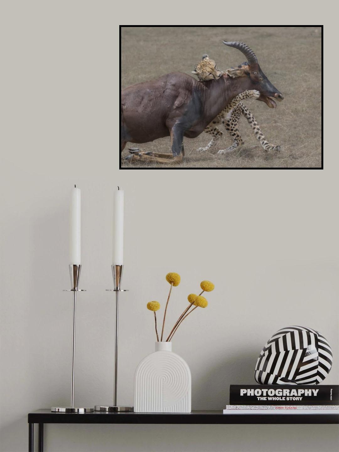 Fight for survival Poster och Canvastavla