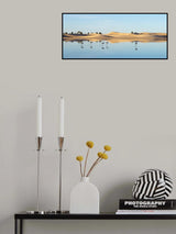 Flamingo in Ouargla Poster och Canvastavla