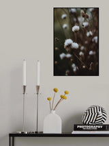 Low Light Nature Poster och Canvastavla