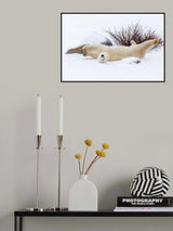 Yoga Exercise Poster och Canvastavla