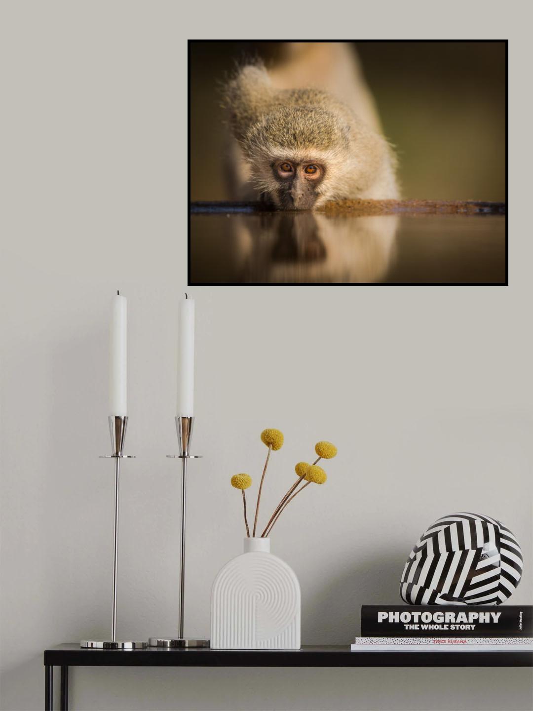 Attentive Poster och Canvastavla