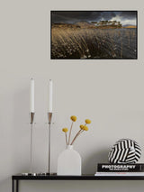 Pine Island Poster och Canvastavla
