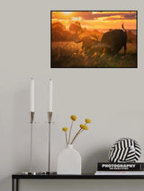 Sweet dreams Poster och Canvastavla