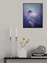 Dancing Toxophora Poster och Canvastavla