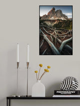Mountain Roots Poster och Canvastavla