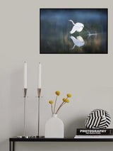 morning light Poster och Canvastavla