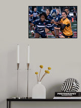 It is my ball Poster och Canvastavla