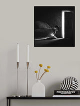 Wings Poster och Canvastavla