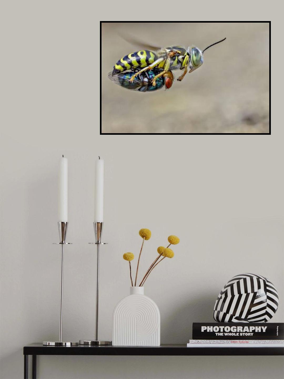Sand wasps with prey Poster och Canvastavla