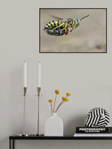Sand wasps with prey Poster och Canvastavla