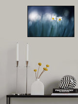 Spirit of moment Poster och Canvastavla