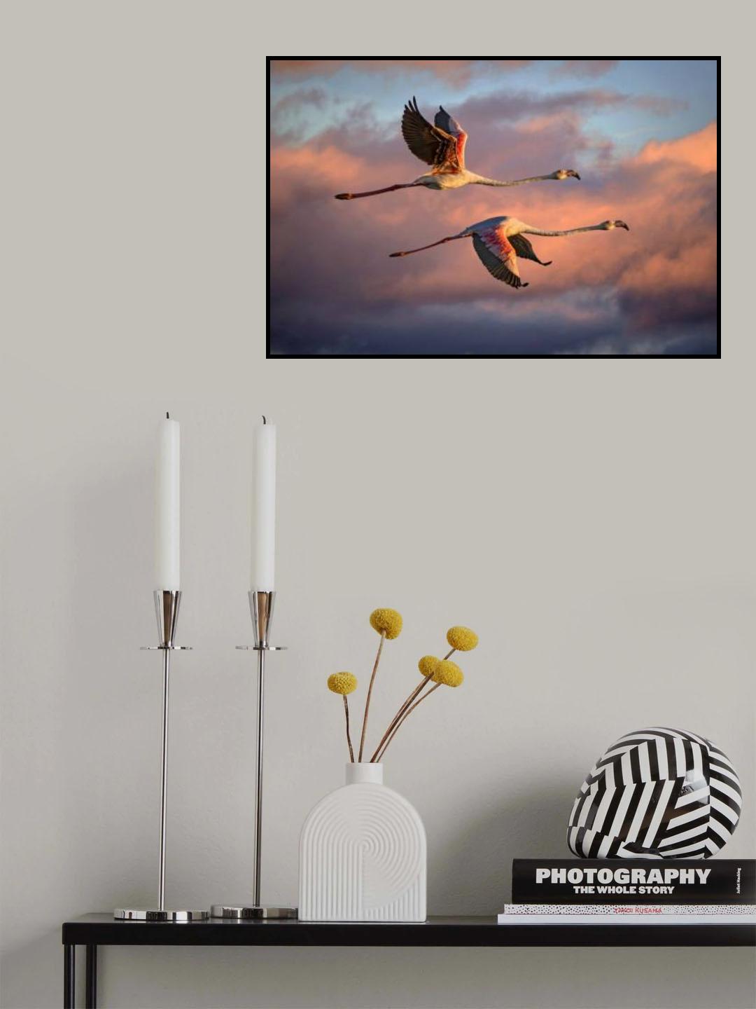 Flamingos at sunset Poster och Canvastavla
