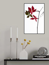 Simple Poster och Canvastavla