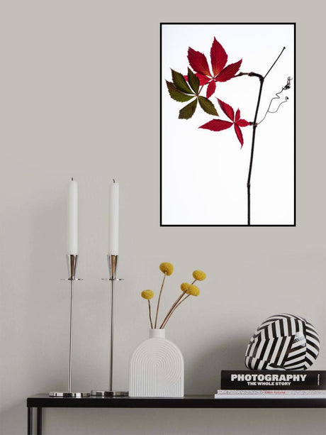 Simple Poster och Canvastavla