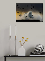 I'm like a Bird Poster och Canvastavla