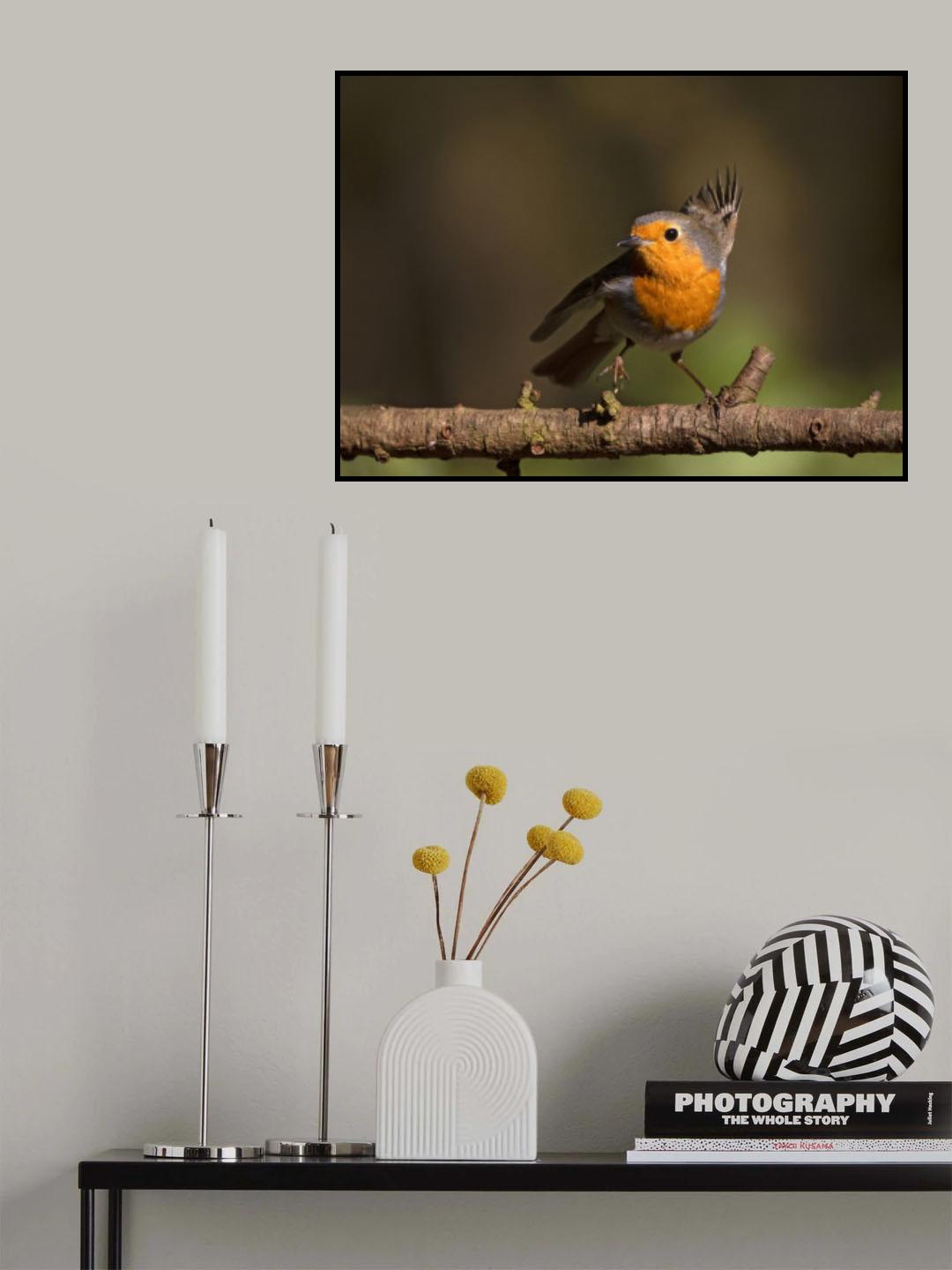 Robin in a twist Poster och Canvastavla