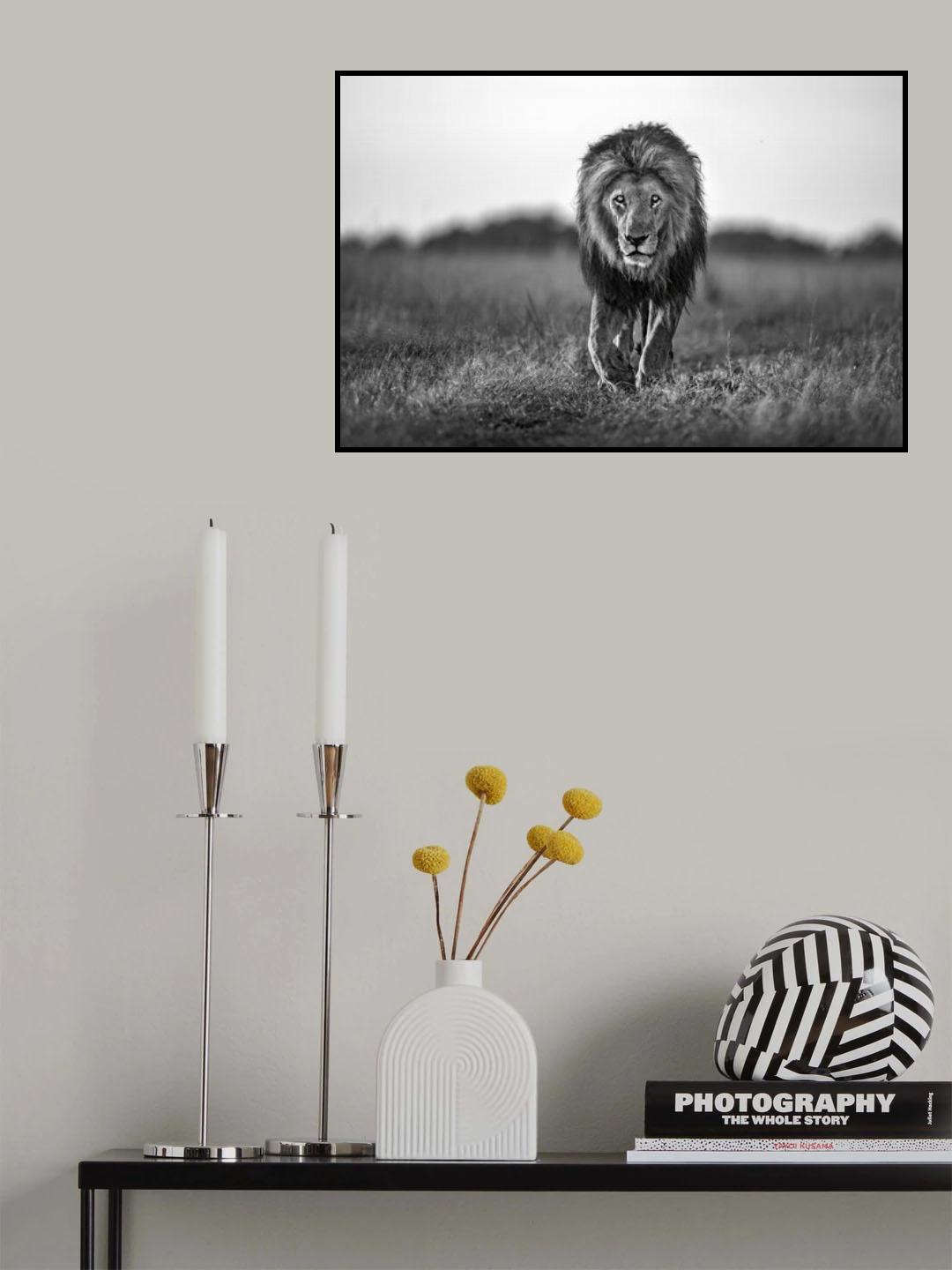 Old boy Poster och Canvastavla
