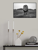 Old boy Poster och Canvastavla