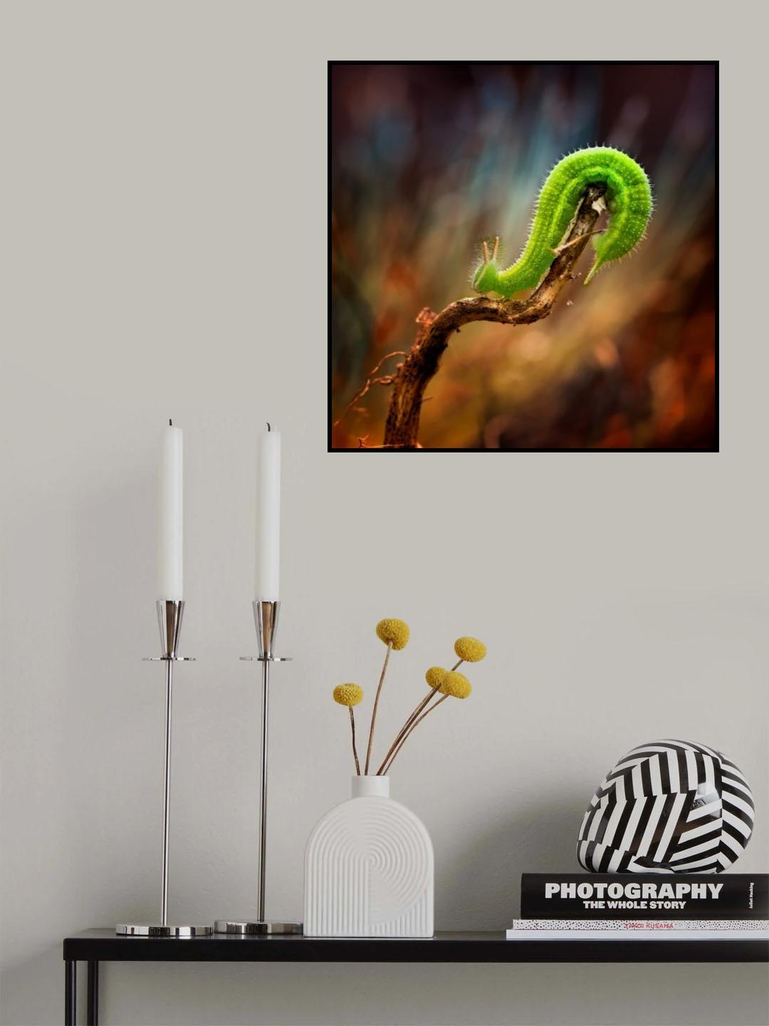 Down Curve Poster och Canvastavla
