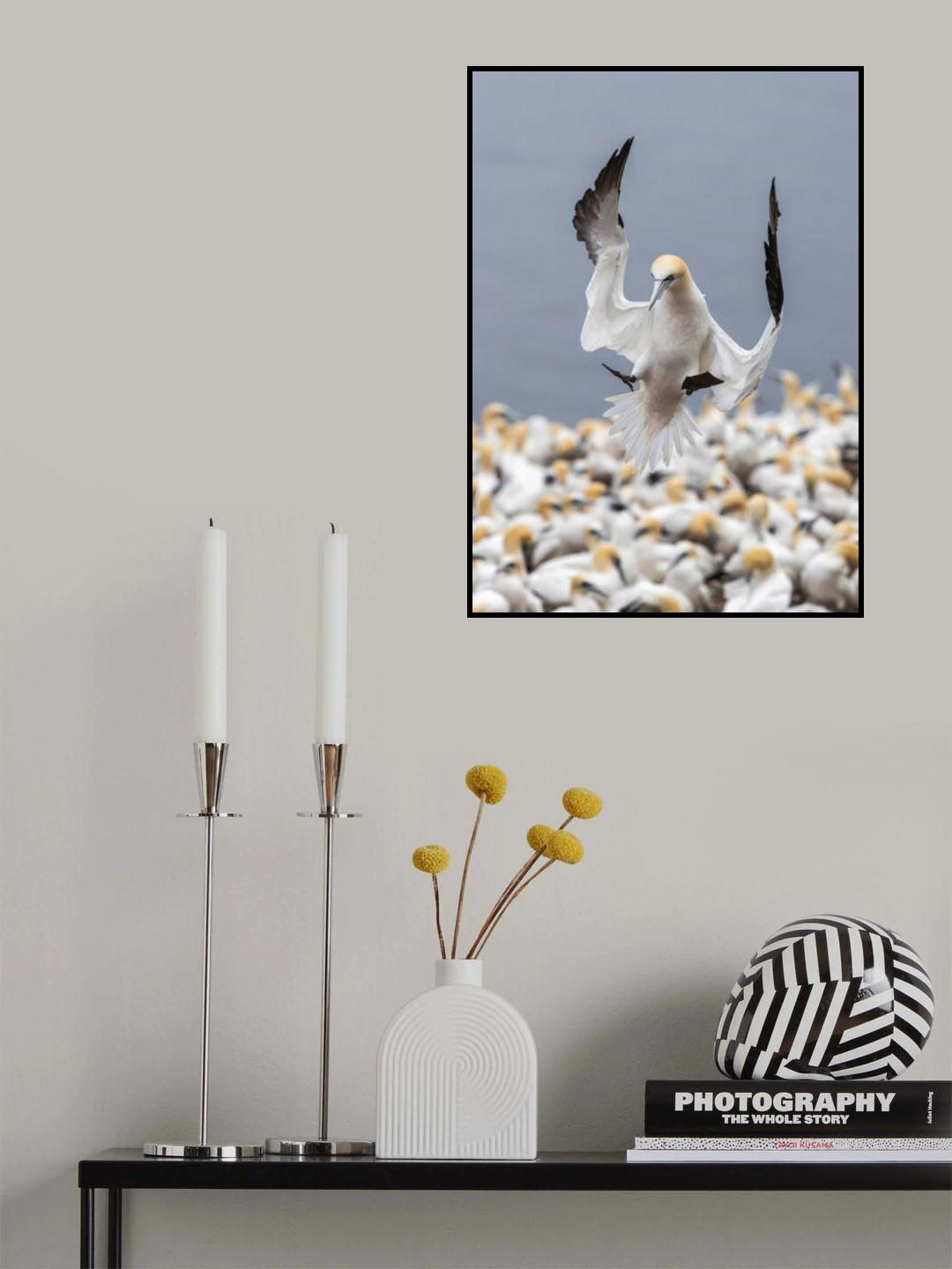 landing Poster och Canvastavla
