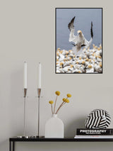 landing Poster och Canvastavla