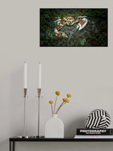 porcelain crab Poster och Canvastavla