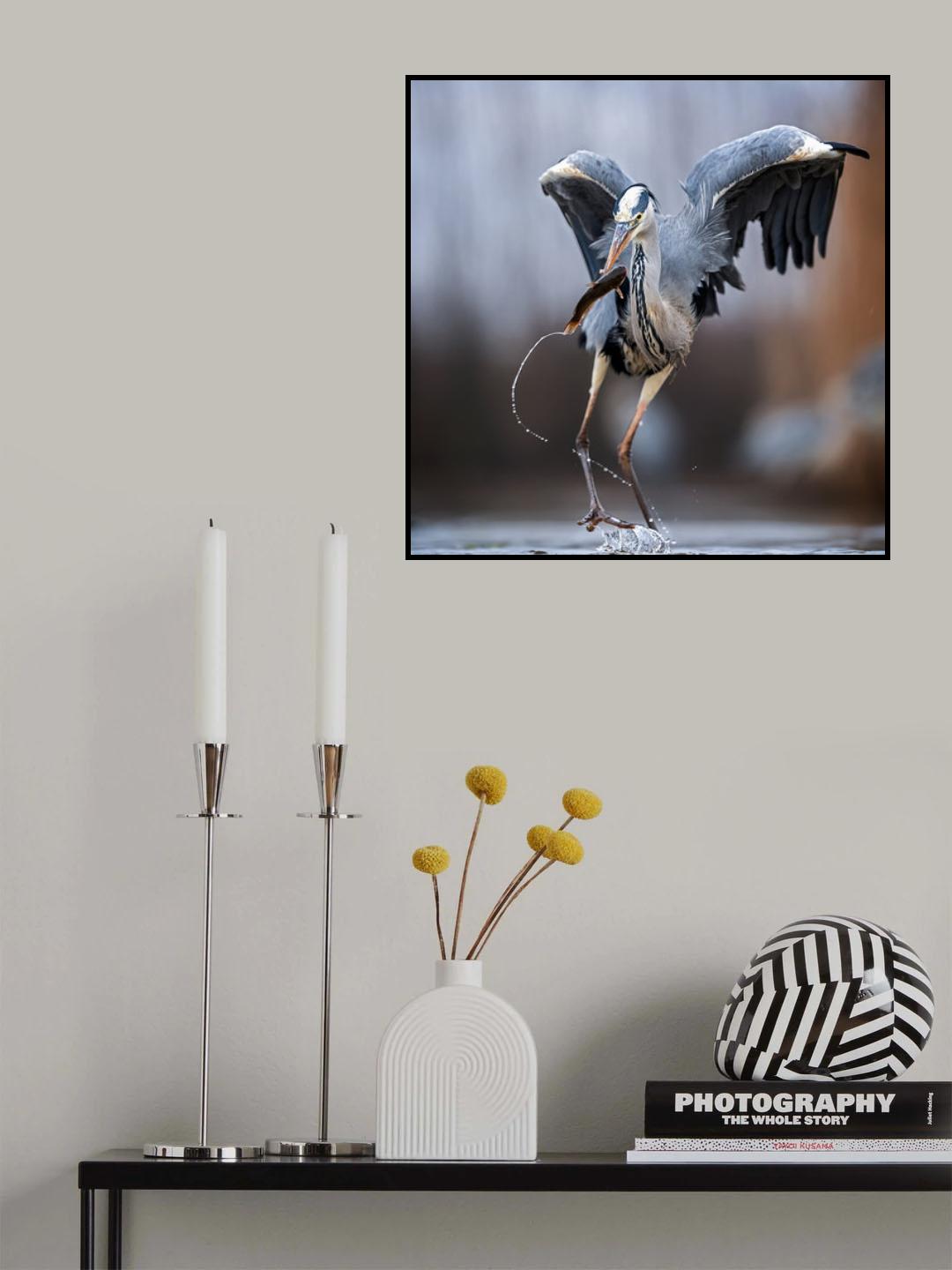 Wiggles Poster och Canvastavla