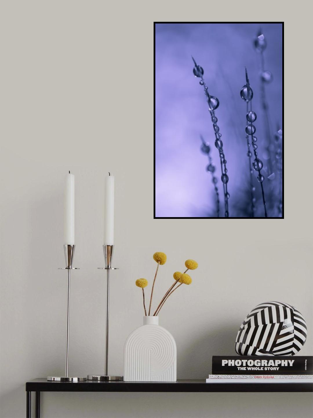 Drops of Silver Poster och Canvastavla